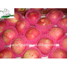 Paper Bagged Fuji Apple (10kg carton, 36/40 / 44PCS)